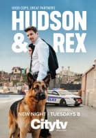 Hudson a Rex