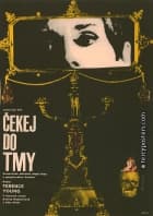 Čekej do tmy